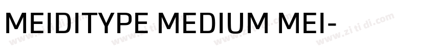 MEIDITYPE MEDIUM MEI字体转换